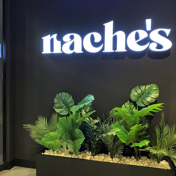 Nache's Valladolid